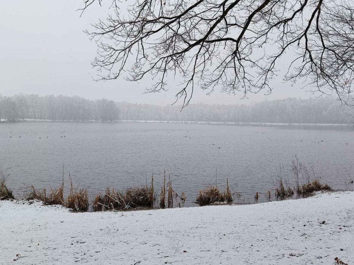 Lauwie 14 Lanaken Exteriör bild
