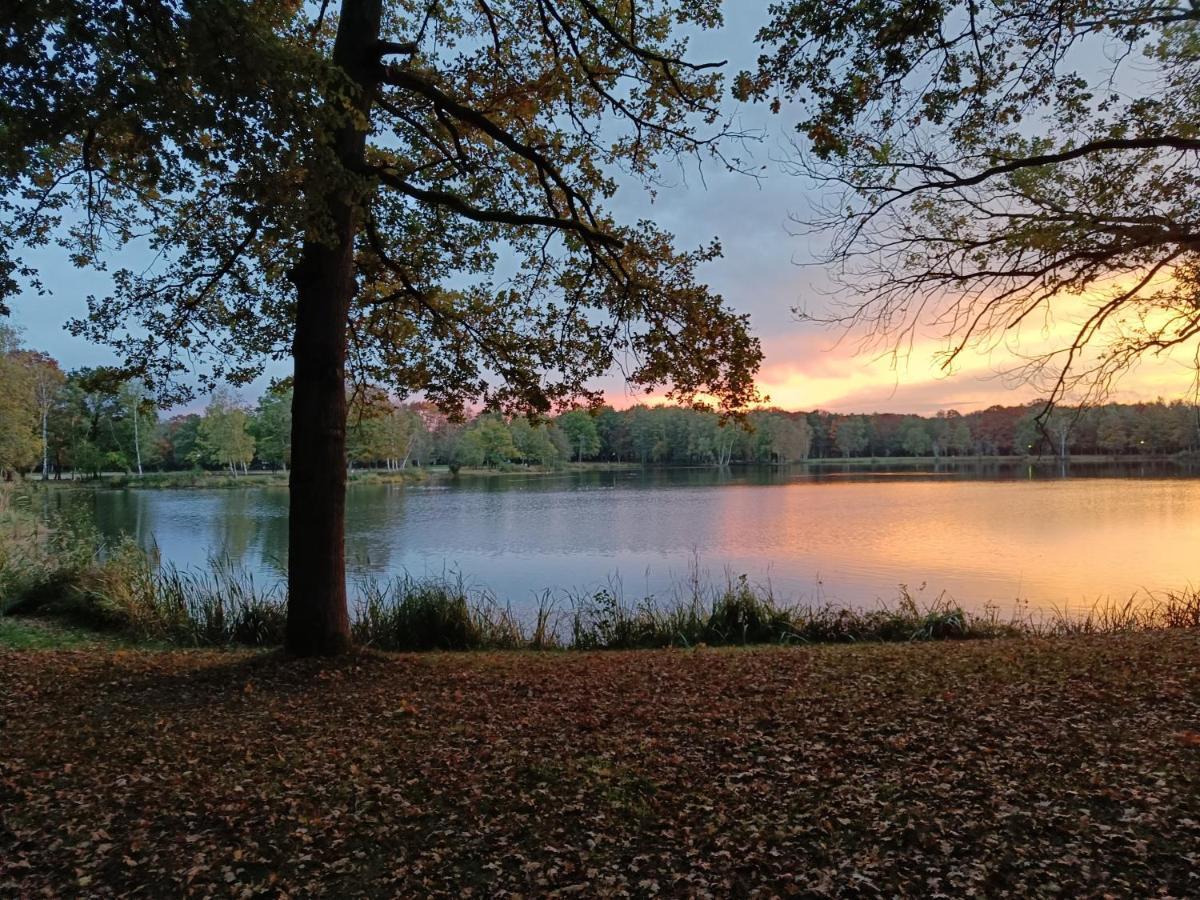 Lauwie 14 Lanaken Exteriör bild